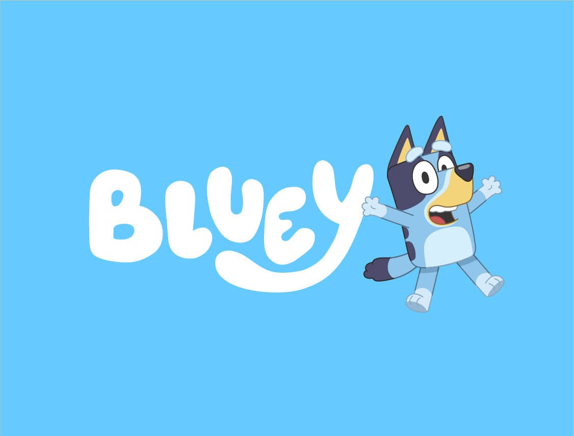 Bluey socks